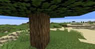 Image via Minecraft